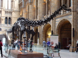 Nat_Hist_Mus